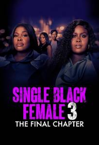 Одинокая темнокожая женщина: Последняя глава (фильм 2025)