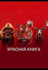 Красная книга (сериал 2022)