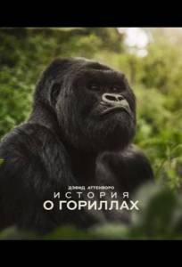 Дэвид Аттенборо. История о гориллах (фильм 2026)