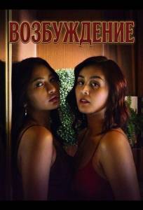Возбуждение (фильм 2025)